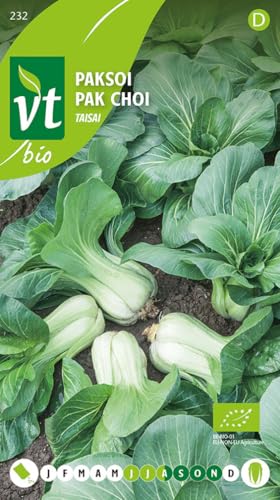 Semillas de Pak Choi Taisai