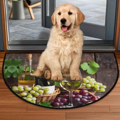 Image of cfpolar Half Round Door Mat Fruit Grapes Wine Leaves Non-Slip Semi Circle Area Rug Washable Half Moon Hearth Rugs for Indoor Outdoor Bathroom Kitchen Patio Runner Mat Laundry Room Home Decoration