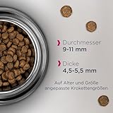 Eukanuba Katzenfutter trocken Huhn - Premium Trockenfutter mit hohem Fleischanteil für erwachsene Katzen ab 1 Jahr, 10 kg