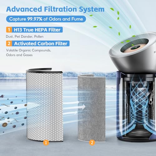 Image of BP03 Replacement Air Filter Set Compatible with Dyson BP03 BP04 BP06 Air Purifier Big+Quiet Formaldehyde Extra Large, 1*HEPA + 2 Carbon Filter, Part# 972132-01 & 972133-02
