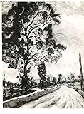  PHOTO-CARTE DE REPRODUCTION EN NOIR ET BLANC / PAYSAGE ET ROUTE.