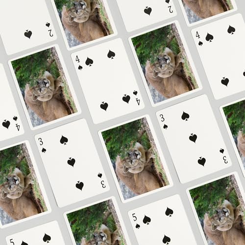 Lantern Press Cougar Crouching, 52 naipes poker miniatura 4