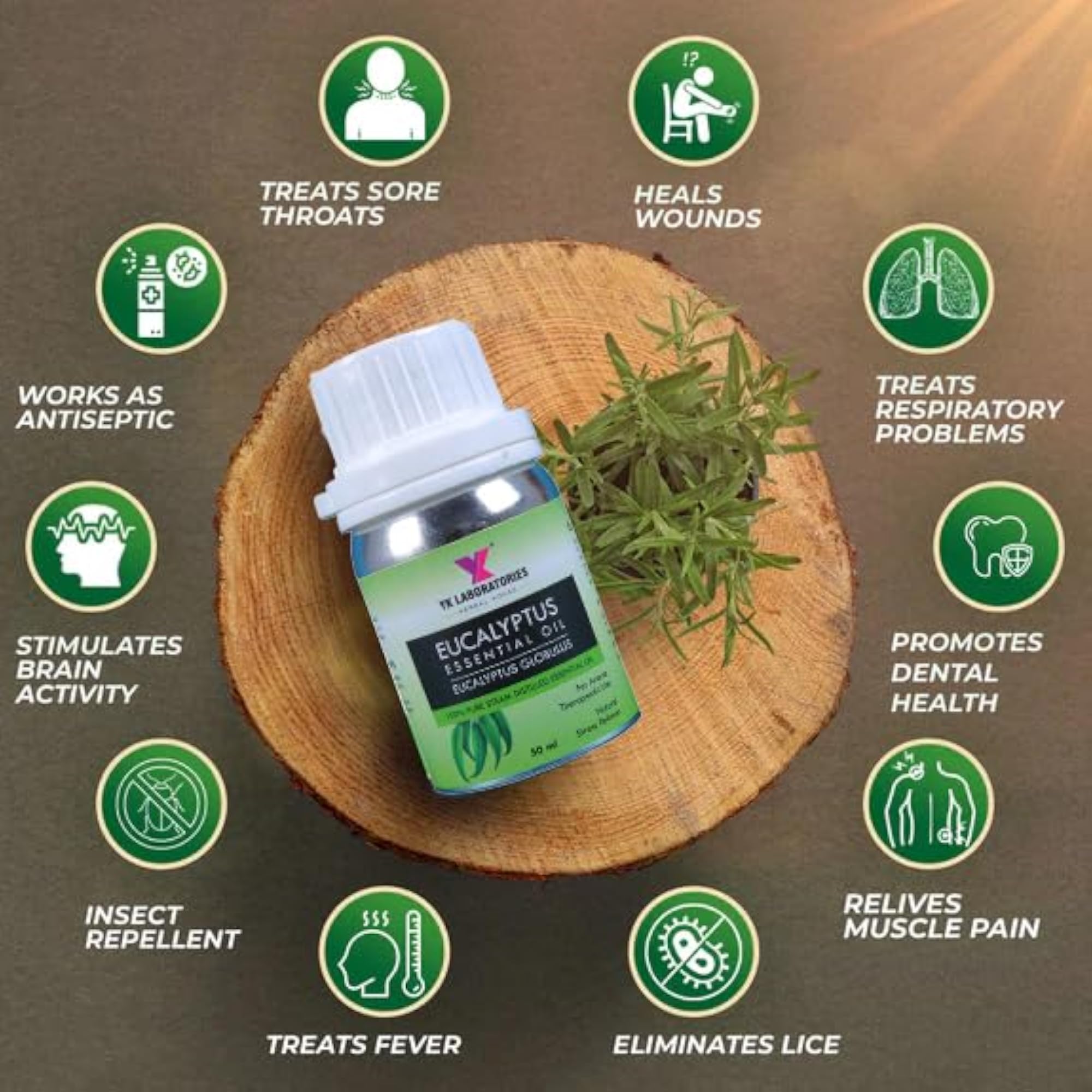 Essential Oil Set with Clove, Ylang Ylang, Eucalyptus