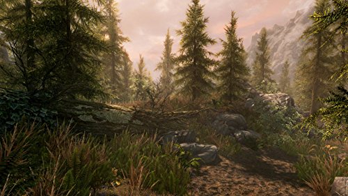 Image of The Elder Scrolls V: Skyrim Special Edition - Xbox One (Renewed)