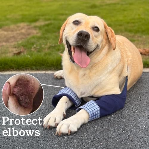 Image of Dog Elbow Pads Knee Protector Wraps Elbow Callus Treatment Sleeve for Wounds Front Legs Stop Licking Medium Large Dogs XL, Navy