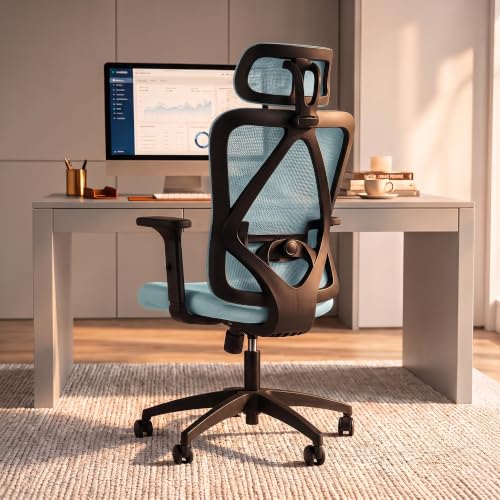 Image of DROGO Ergonaut Ergonomic Office Chair for Work from Home | Computer Chair with 2D Headrest, Armrests & Adjustable Lumbar Support | Breathable Mesh with 120 Recline, 1-Year Warranty (Blue & Blue)