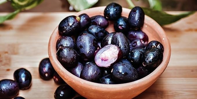 Image of LIVE PLANTS (SMALL, JAMUN)