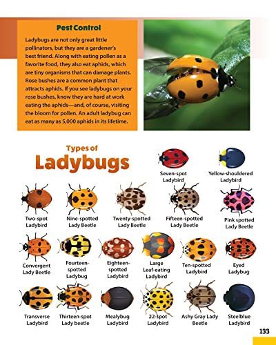 World of Pollinators: A Guide for Explorers of All Ages: Fun Projects, Over 600 Amazing Facts About Plants, Bees, Beetles, Birds, and Butterflies (Creative Homeowner) Outdoor Activities for Kids 8-12 - Image 7