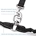 PetsAlly Dual Dog Leash Includes Bungee Coupler, Soft Padded Handle & Training Ebooks - Premium Quality - Tangle Free Double Dog Walker for Two Dogs - Ideal for Medium to Large Dogs …