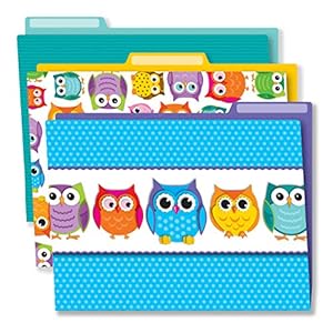 Carson Dellosa 136009 Aktenordner Eulenmotiv, 6 Stück