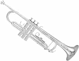 管楽器・吹奏楽器 Bach Corp. 3D 管楽器・吹奏楽器 Bach Corp. 3D Amazon | 初心者金管楽器