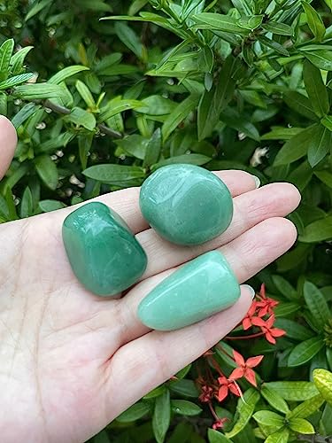 Image of GAF TREASURES 1 /2 LB Green Aventurine Tumbled Stones, Polished Green Aventurine Gemstone, Green Aventurine Healing Crystals (Green Aventurine)
