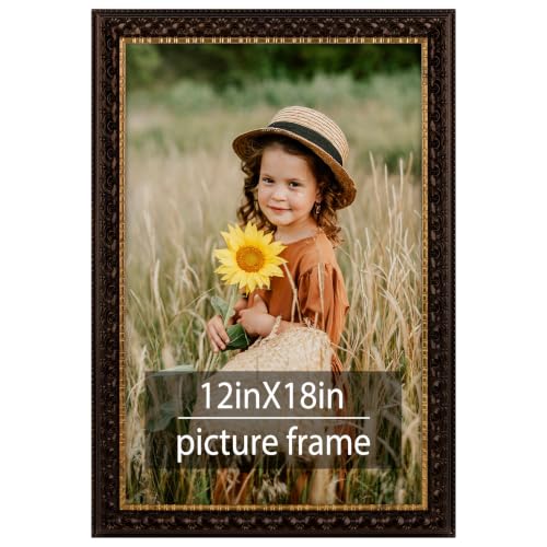 Frametory 12x18 Poster Picture Frame Real Glass Dark Brown & Gold