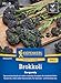 Produktbild Kiepenkerl Profi-Line Brokkolisamen Burgundy 1040200 - Brokkolisprossen - violette Knospen - Mehrfachernte - Samen Gemüse, Saatgut, Gemüsepflanzen