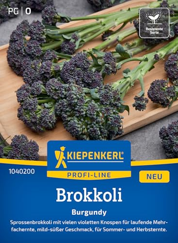 Kiepenkerl Profi-Line Brokkolisamen Burgundy 1040200 - Brokkolisprossen - violette Knospen - Mehrfachernte - Samen Gemüse Saatgut Gemüsepflanzen