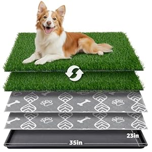 LOOBANI Large Dog Grass Pad with Tray – 35x23in Dog Litter Box with 2 Artificial Grass Patch + 2 Washable Pee Pads – Quickly Absorbency Indoor Outdoor Potty for Patio Balcony Apartment Use