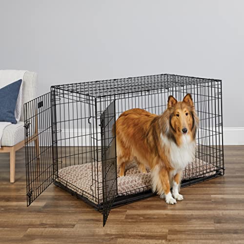 MidWest Homes for Pets Newly Enhanced Double Door iCrate 121.92 cm (48-Inch) Long Dog Crate, Includes Leak-Proof Pan, Floor Protecting Feet, Divider Panel & New Patented Features, Black, Model 1542DDU - Image 3