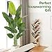 Keeplush Lifelike Bird of Paradise Artificial Plant,6ft Faux Banana Leaf Tree with 13 Trunks - Perfect Indoor Silk Floor Plant for Home Decor in Living Room, Office, and Bedroom 1Pack