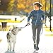 tobeDRI Heavy Duty Dog Leash - 2 Padded Handles, 6 feet Long - Dog Training Walking Leashes for Medium Large Dogs (Blue)