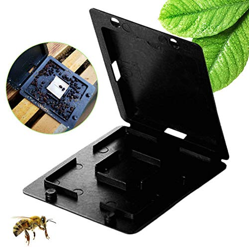 fang FANS Insect Traps Beehive Garden Supplies Beekeeping Tool Plastic Beetle Collector Beekeeping Beehive Hive Nest Insect Trap Case Catching (10PC)