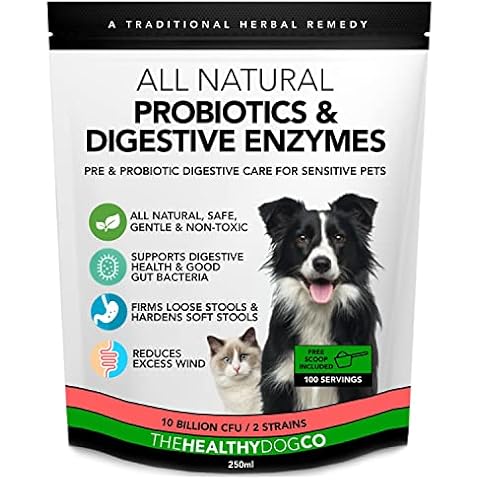 The Healthy Dog Co - Probiotics for Dogs - Dog Probiotic - Probiotic for Dogs - Ideal for Post Dog Diarrhea Treatment to Restore Optimal Gut Bacteria - Add Water for Dog Probiotic Paste - 250 ml Cover