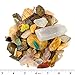 Boone's Mill Gemstone Paydirt | 5 Pounds | Gem Mining Rough Stone Mix | Rock Fossil ID Guide