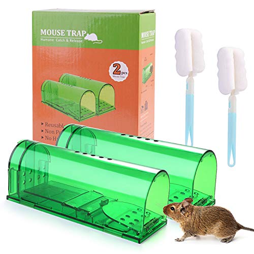 Preisvergleich Produktbild Ulikey Mausefalle Lebend 2er Set - Wiederverwendbare Lebendfalle, Tierfreundliche Lebendfalle, Transparent Maus Fallen Eingang Tierfallen Professionell Kastenfalle für Küche, Garten (2 Pack,Grün)
