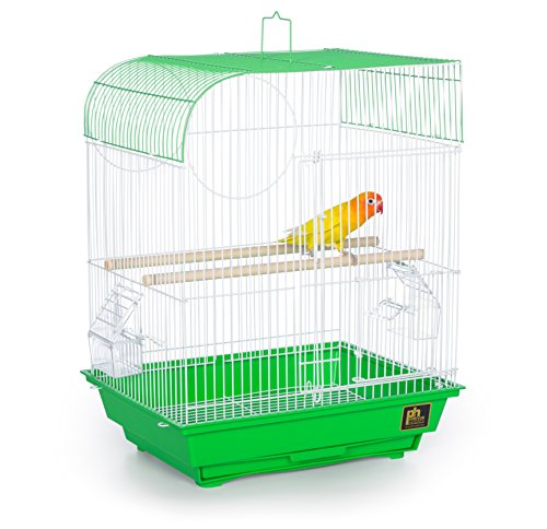 Prevue Pet Products South Beach Flat Top Bird Cage, Lime Green
