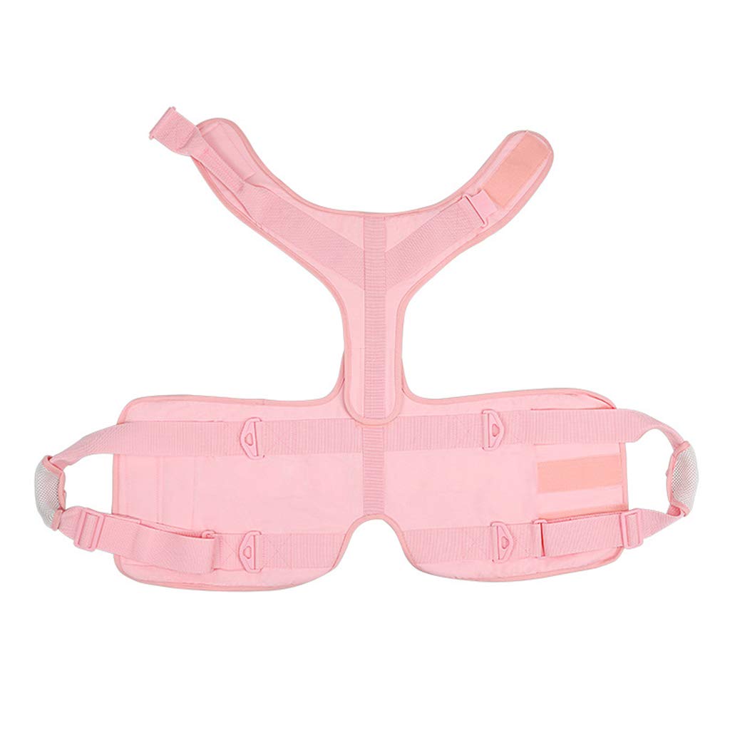 Arnés para cachorros con chaleco acolchado para perros mayores, fácil control, transpirable, arnés de malla para todo tipo de clima, para perros grandes