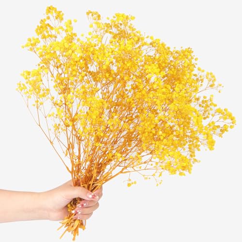 Dried Baby's Breath Flowers Bouquet Natural Dried Flowers Baby's Breath Real Gypsophila Branches for Wedding Table Vase Party Garden DIY Wreath Floral Home Decor(Yellow)