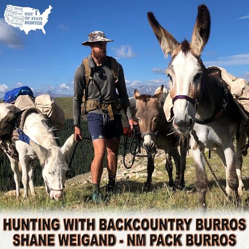 Burros: The Ultimate Backcountry Pack Animal &ndash; Shane Weigand