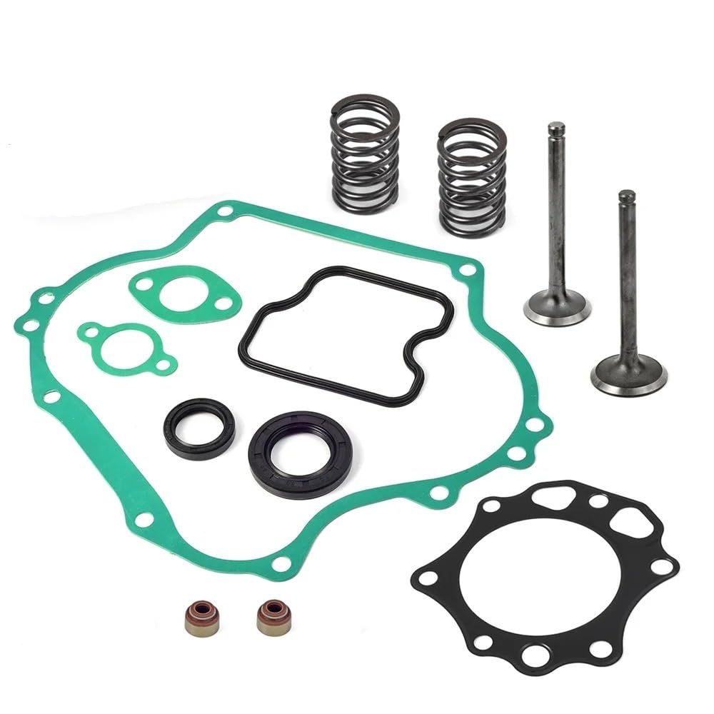 Válvula de escape de admisión de sello de junta de motor compatible con DS PFE290 1016447 448 290CC