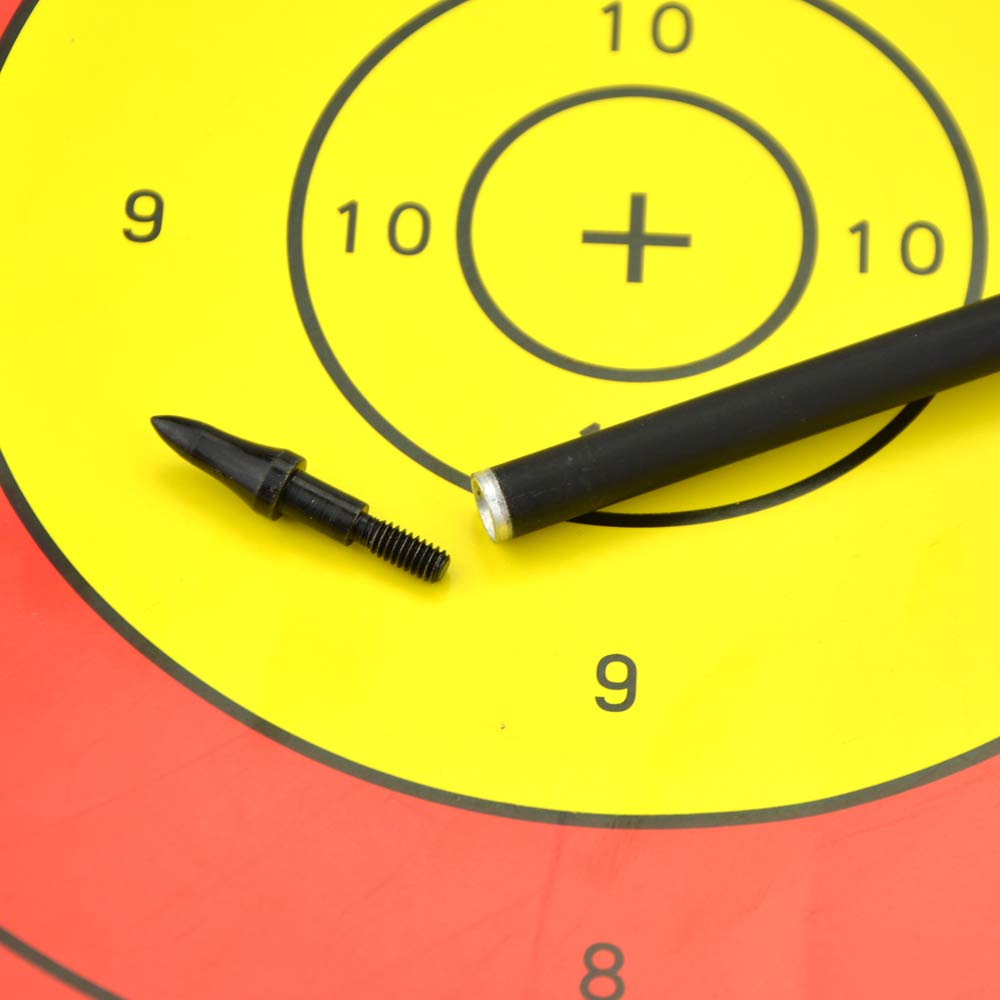 Pointes de tir à l'arc 75/100 Grain Field Points filetées pour Chasse Recurve Arc à poulies