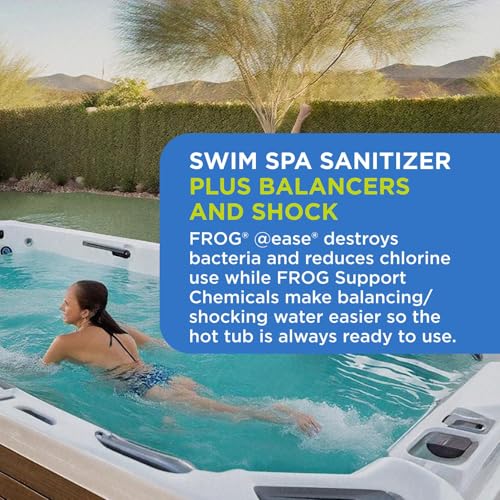 Image of FROG @ease Replacement SmartChlor Cartridges for Swim Spas & Balancer Kit