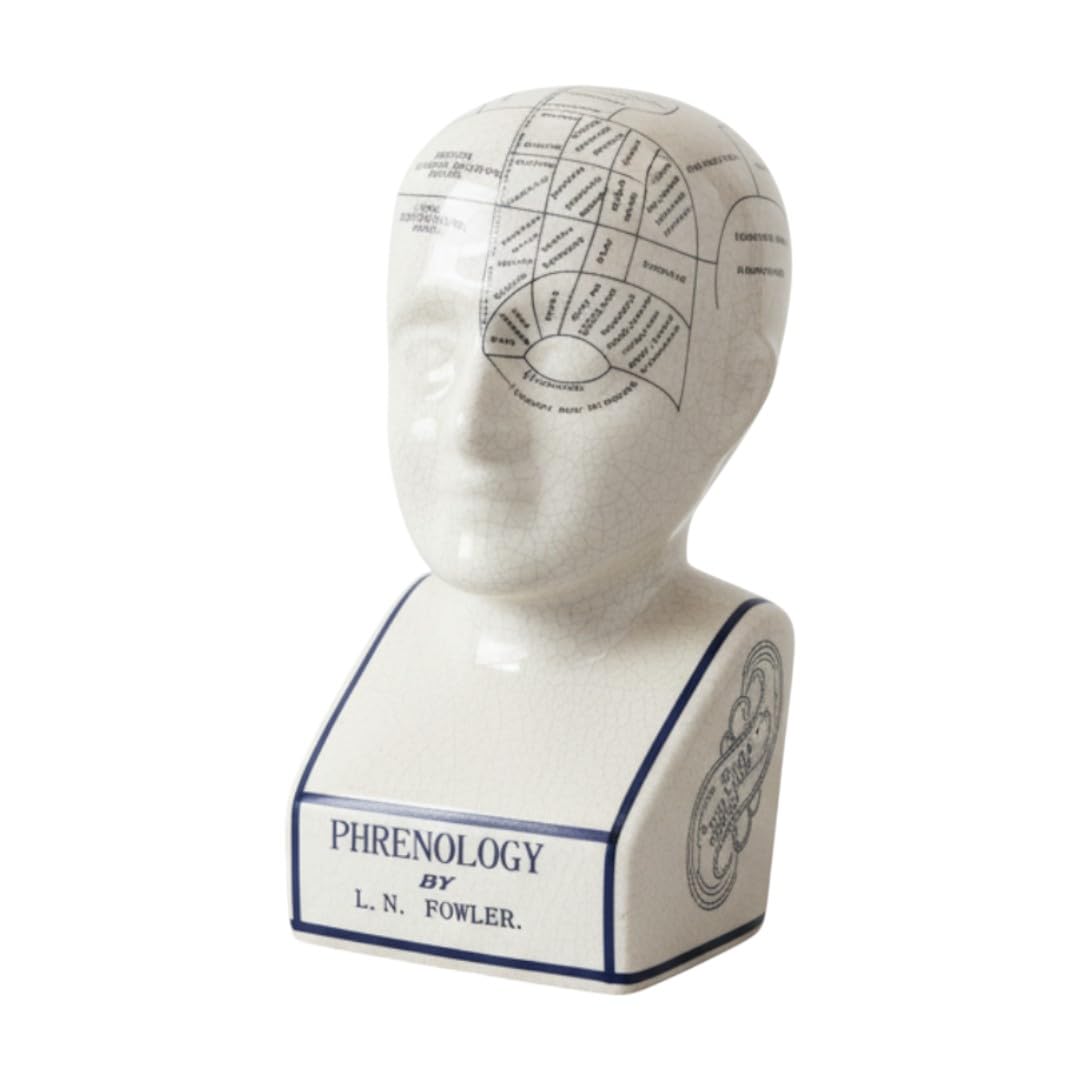 AcaciaHome 12'' L.N. Fowler Phrenology Ceramic Head – Antique Crackle-Glaze Porcelain, Educational & Decorative Medical Collectable, Perfect for Students, Collectors & Historical Display
