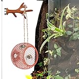 Brown Jumping Spider Hide Accessories Set, Jumping Spider Enclosure with Magnetic Antler, Metal Spider Hideout with Simulated Antler, Jumping Spider Habitat Cute Decoration
