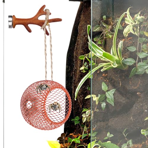 Brown Jumping Spider Hide Accessories Set, Jumping Spider Enclosure with Magnetic Antler, Metal Spider Hideout with Simulated Antler, Jumping Spider Habitat Cute Decoration