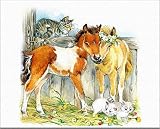7Dots Art. Baby Horses. Watercolor Art Print, poster 8"x10" on Fine Art thick Watercolor (aquarelle)