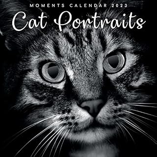Wall Calendar 2023 - Cat Portraits, 30 x 30 CM Monthly View, 16-Month, Black & White Theme, Includes 180 Reminder Stickers