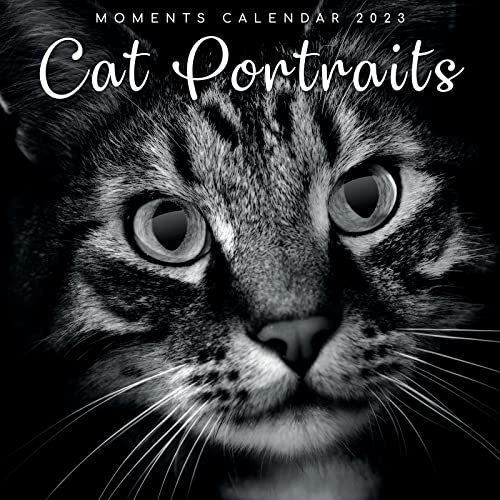 2023 Square Wall Calendar, Cat Portraits, 16-Month Black And White Photos With 180 Reminder Stickers (12 X 12 In) #TOP25