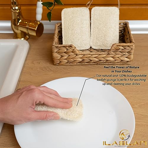 Image of Natural Loofah Dish Sponge Scrubber | Double-Sided | Eco-Friendly, Natural,%100 Organic, Biodegradable and Reusable Dish Loofah Kitchen Sponges | 3 Count (1 Pack) (12X8 CM)
