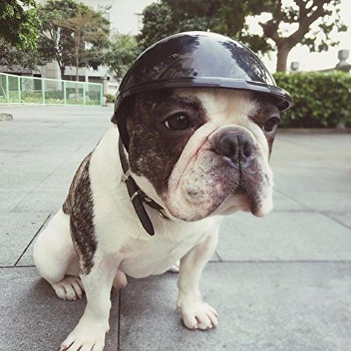 Capacete de cachorro POPETPOP para bicicleta, motocicletas, acessórios para fantasias de cães esport