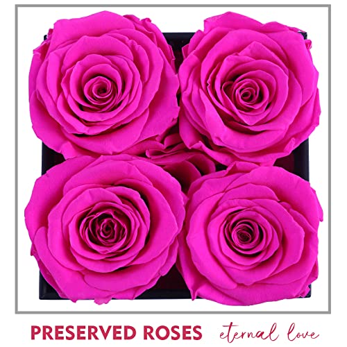 Impouo Geconserveerde roos, cadeaus voor haar, verjaardagscadeaus voor vrouwen, cadeaus voor mama, vriendin, vrouw, oma, Kerstmis, verjaardag, Valentijnsdag - Image 4