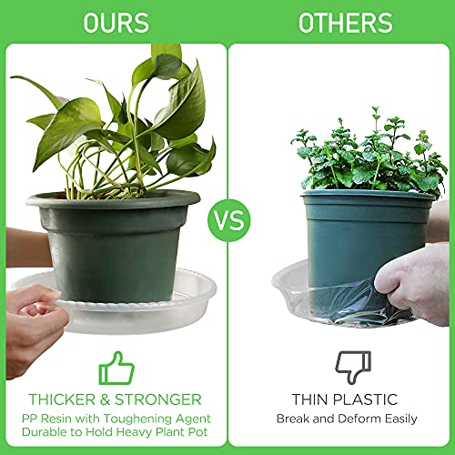 Lotfancy Plant Saucer, 6 Pack Of 10 Inch, Clear Plastic Plant Trays For Pots, Thick 35Gram Durable Flower Pot Base, Plant Plate To Catch Water For Indoors Outdoors #TOP3