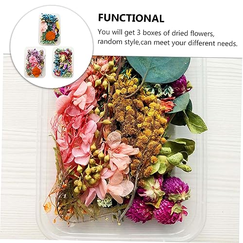 Kit para hacer velas con flores secas Alipis 3 cajas miniatura 6
