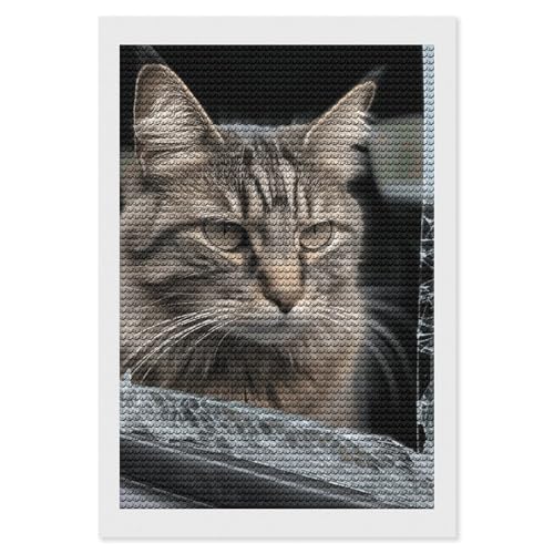 Art diamant anti stress adulte kit complet broderie diamant chat maison