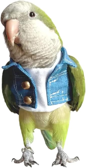 Parrot Bird Supplies, Light Flying Clothes, Warm and Comfortable, Tiger Skin, Green Cheek Parrot, Little Sun Parrot