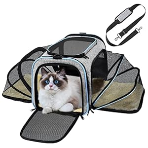 Pet Carrier Airline Approved, Expandable Cat Bag, Large Soft Sided Small Dog with Removable Fleece Pad for Cats, Puppy and Animals¡­, Blue, 18inchLx 11inchWx 11inchH (GD069AH)