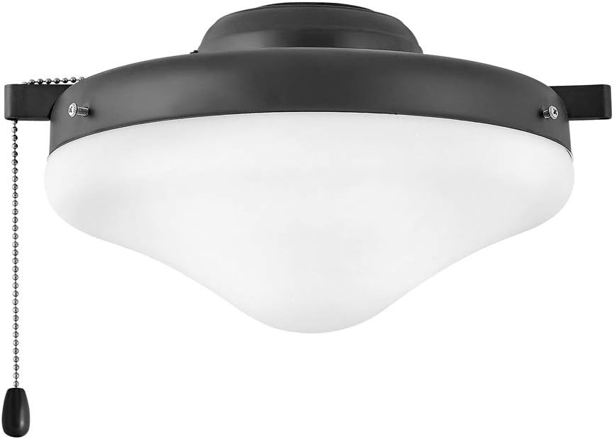 Hinkley Light Kit Heirloom Glass, Matte Black