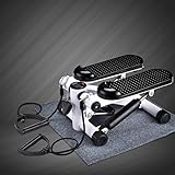 Portatile Fitness Side Stepper per Uso Domestico,Mini Swing Stepper con Display LED,Multifunzione Macchine per Training Aerobico Attrezzatura per L'arrampicata C